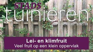 Stadstuinieren - Lei en klimfruit #moestuin