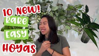 10 NEW HOYA!! | Rare and Easy | HOYA HAUL | LOOOONG VIDEO | Care tips | Growth | Watering
