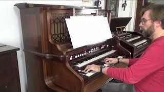 Alphonse MUSTEL : Largo op. 18 (1898) par Olivier Schmitt sur Orgue-Célesta Mustel.