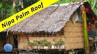 Nipa Palm - Making Roof Panels