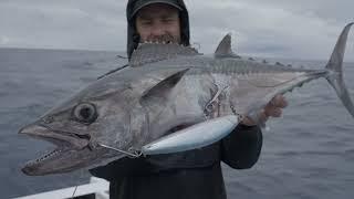 Wild Weather, Plenty of Fish and an Oceanside Cook Up