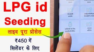 LPG ID seeding for ₹450 Gas cylinder live process | LPG id seeding kaise kare | 450 में सिलेंडर