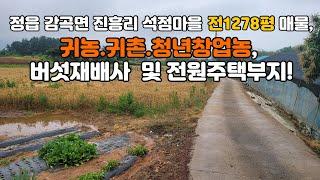 No72 정읍시 감곡면 진흥리 석점마을 전1278평 매물 | 귀농·귀촌·청년농에게 추천하는 전형적인 농촌 전 "