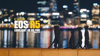 Canon EOS R5 10Bit HQ Fine 4K Lowlight Video Test (RF 85mm f/1.2 USM lens)