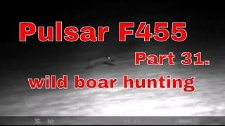 Part 31. Wild boar hunting. Pulsar f455, Nm Trident 940ir