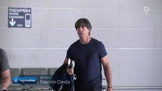 Joachim Löw/die Mannschaft - Rückkehr nach Deutschland (Tageschau) 28.06.18