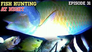 NIGHT SPEARFISHING EPISODE 31 | FISH HUNTING AT NIGHT