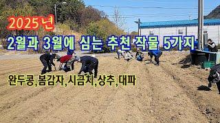 2월과 3월에 심는 추천 작물 다섯가지