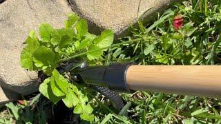 Grandpa's Weeder Stand Up Weed Puller - HONEST Review