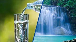 Spring Water vs Purified Water: Which is Better for You?