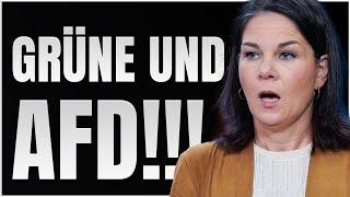 Grüne und SPD ARBEITEN mit AfD