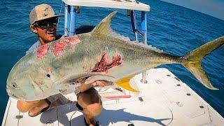 Monster ZOMBIE FISH Caught in Florida  - Cobia and Fly Fishing
