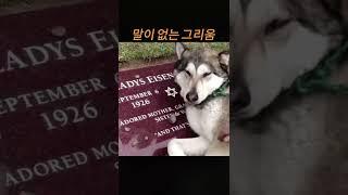 말이 없는 그리움