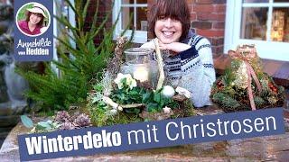 5 Winterdeko Ideen mit Christrosen - DIY Weihnachtsdeko