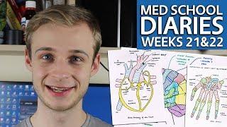 Year 1, Weeks 20 & 21 Graduate Entry Medicine @ Warwick Medical School | PostGradMedic