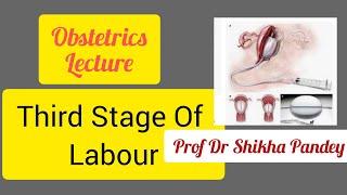Third stage of Labour and its management @saisamarthgyneclasses