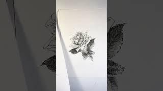 WHAT DIRECTION TO DRAW HATCHING LINES?  #stephentraversart #drawing #drawing tips