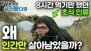 사라진 인류에는 어떤 종이 있었고 그들은 왜 사라졌을까?｜현생 인류, 인간이 생존할 수 있었던 이유｜지금까지 밝혀진 인류 진화의 비밀｜#골라듄다큐