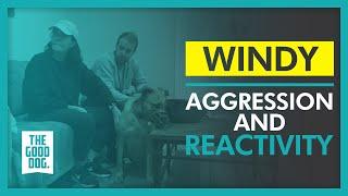 Aggression and reactivity | Windy | The Good Dog Training