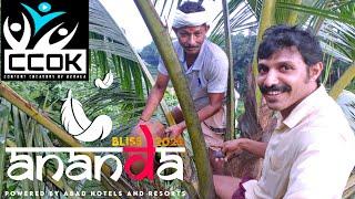 Village Real Life By Manu | CCOK Mega Meet up | Ananda Bliss 2020