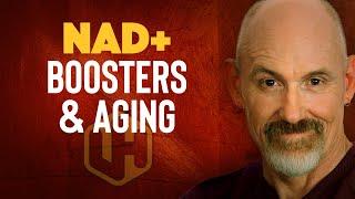 NICOTINAMIDE ADENINE DINUCLEOTIDE | NAD+ Precursors And Aging