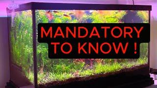 5 Mistakes - Low Tech Aquarium