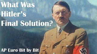 What Was Hitler's Final Solution? AP Euro Bit by Bit #39