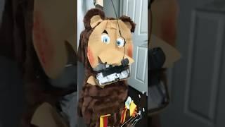 Custom Billy Bob Broccoli animatronic #rockafireexplosion #showbiz #custom #animatronics