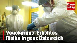 Vogelgrippe: Erhöhtes Risiko in ganz Österreich | krone.tv NEWS