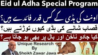 Eid ul Adha Special Program | Benefits of Camel Bone | By | Astrologer: Sheikh Zawar Raza Jawa