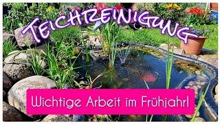 Teichreinigung - Wie reinige ich meinen kleinen Gartenteich?