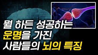 뭘 하든 성공하는 운명을 가진 뇌를 만드는 1가지 비법