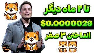 تا ۲ ماه دیگر انداختن ۳ صفر 0.0000029$؟ | پیش بینی تحلیلگر معروف برای بیبی دوج؟