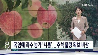 일소피해 초도물량 비상