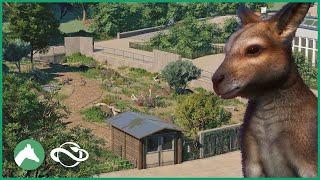 Wallaby Walkthrough Habitat | Elm Hill City Zoo | Planet Zoo