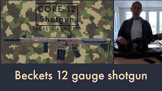 12 gauge 1919 AR style magazine fed #shotgun