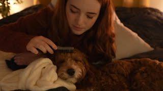 ASMR Sleepy Puppy Pamper (whispered rambling)