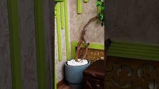 КАРАОКЕ КАБИНКА 1