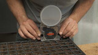 Manual seeder for seed trays: Terrateck at the Chambord kitchen gardens