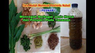 Cara Membuat Pestisida Nabati (PESNAB) Untuk Mencegah Berbagai Jenis Hama dan Penyakit Pada Tanaman