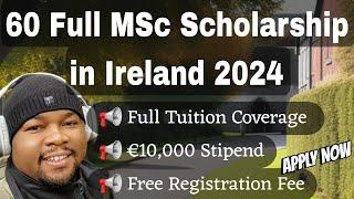 Apply For 60 Full Msc Scholarships In Ireland 2024: Learn How To Ace The Essay Questions ($10,000)