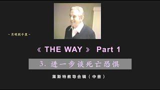 莱斯特音频️The Way 1｜c 进一步谈死亡恐惧｜中文配音