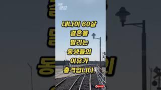 내나이 60살 결혼을 말리는 동생들의 이유가 충격입니다. #인썰공감 #인생썰 #사이다사연 #50대이야기 #감동실화 #인생역전