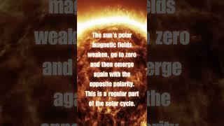 Science Bites - Sun's Magnetic Polarity