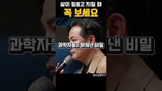 삶이 힘들고 지칠때 꼭 보세요 #김창옥 #동기부여 #인생