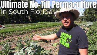 Empower Farm: The Ultimate No-Till Organic Permaculture in the Tropics