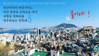 Driving in Busan/Korea/부산 망양로 산복도로 가이드-알록달록 예쁜 마을 대청동 색채마을-영주하늘눈 전망대 가이드