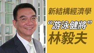 硬核經濟學科普丨林毅夫：是新結構經濟學掌门人，也是“游泳健將”