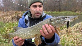 Pike Fishing with Twitching. Do Not Search for Fish in Wild Places.