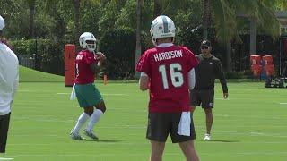 Miami Dolphins take the field for minicamp